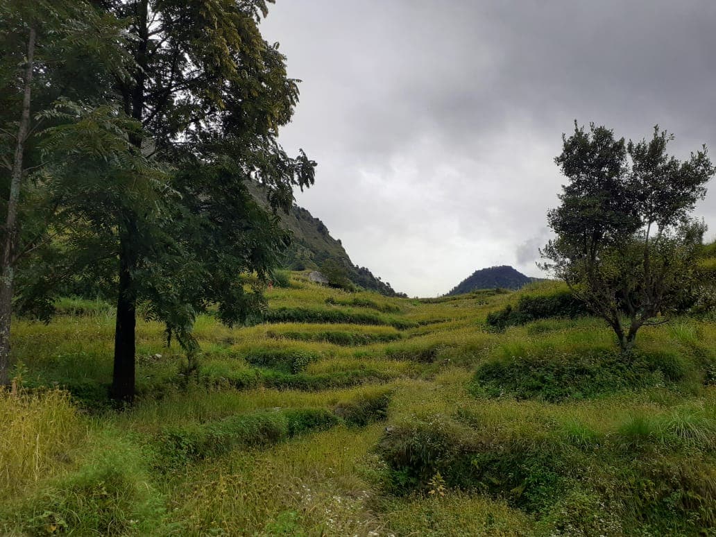 Top 10 Things to Do in Sari Village: Experience the Soul of Garhwal