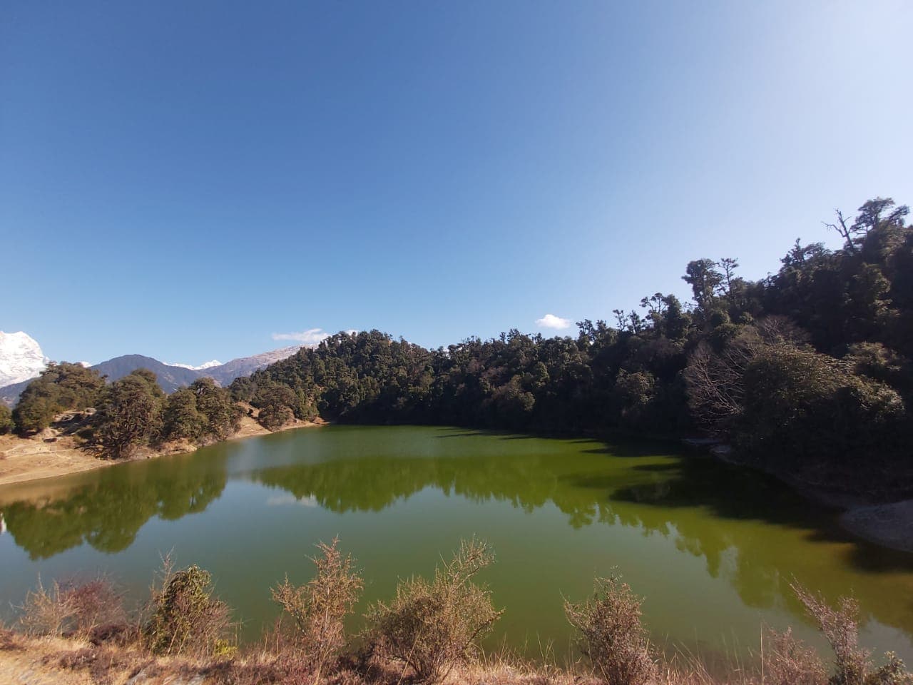 We Brought Our Kids to the Himalayas — Here Is Everything Nobody Told Us About Chopta