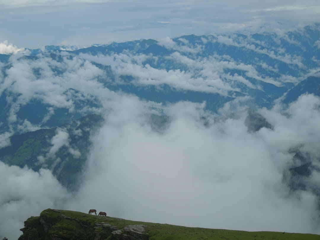 Chopta Tungnath in May 2026: Complete Weather Guide & What to Expect on Your Trek